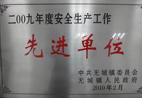 2009年度安 全生產(chǎn)工作單位